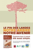 Le pin des Landes, notre arbre, notre avenir