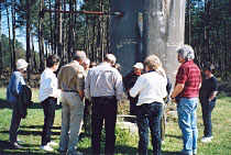 La préservation de la forêt